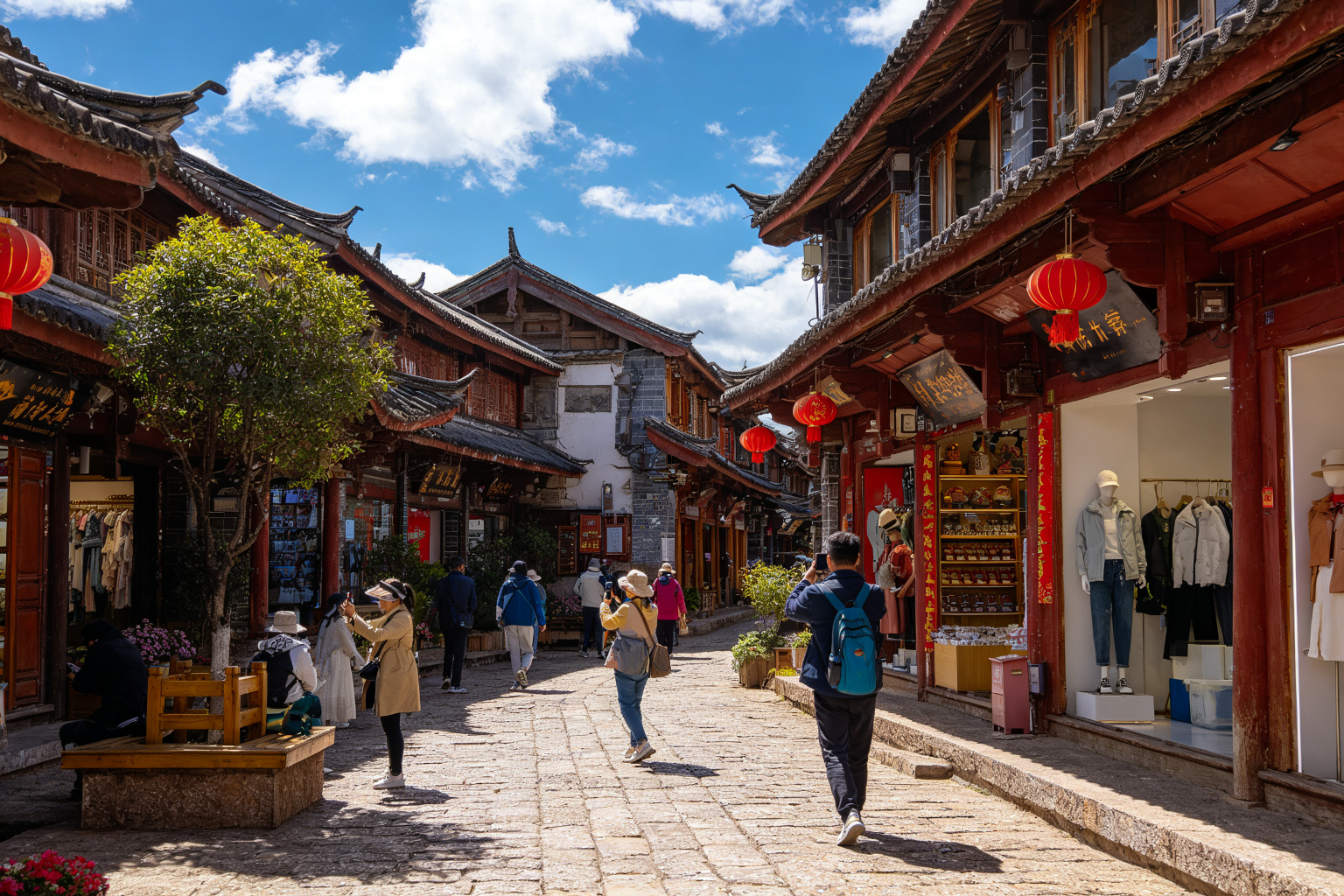 旅游官网方案
